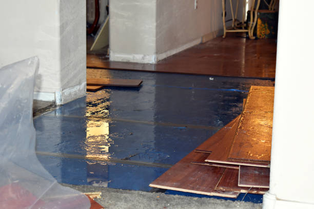 Professional Flood Cleanup technician working in Fair Haven, MI