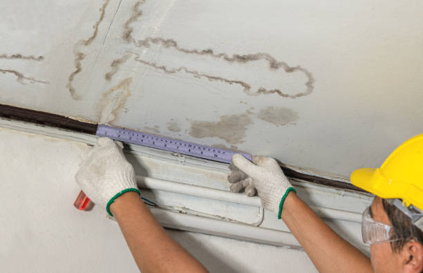 Reliable Flood Cleanup contractor in Fair Haven, MI by Water Damage Irwin
